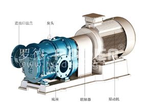 罗德转子泵简单图示