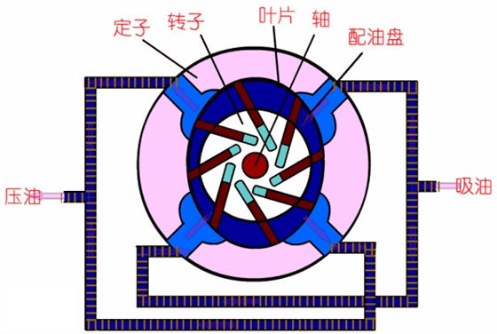 叶片泵工作原理动图