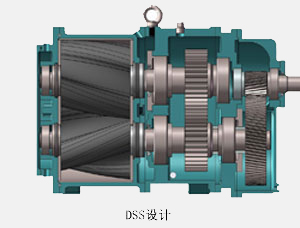 公司简介dss.jpg