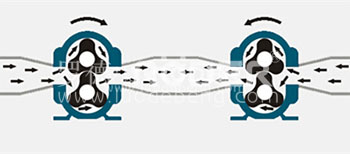罗德凸轮转子泵可以正反转装车卸车一台泵就可以完成